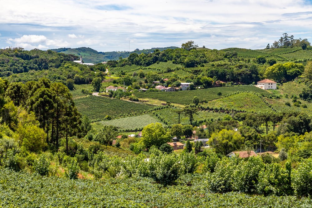 Serra Gaúcha Highlands: Private Wine Estate & Gaucho Estância