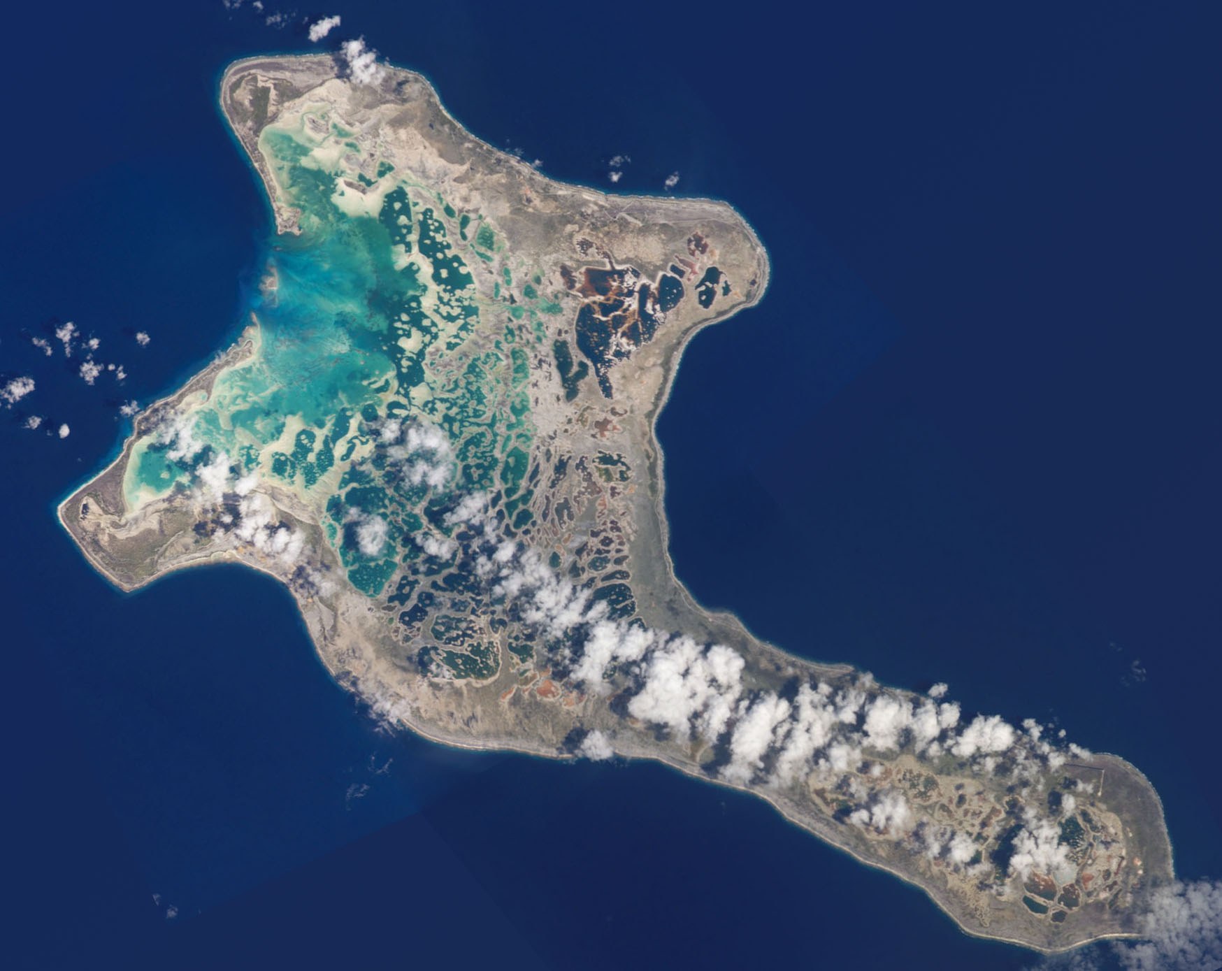Kiribati's Kiritimati (Christmas Island): Private Wildlife & Lagoon Safari