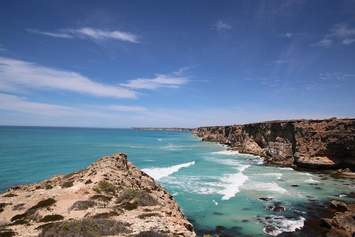 Great Australian Bight Marine Park: Clifftop Guided Walk