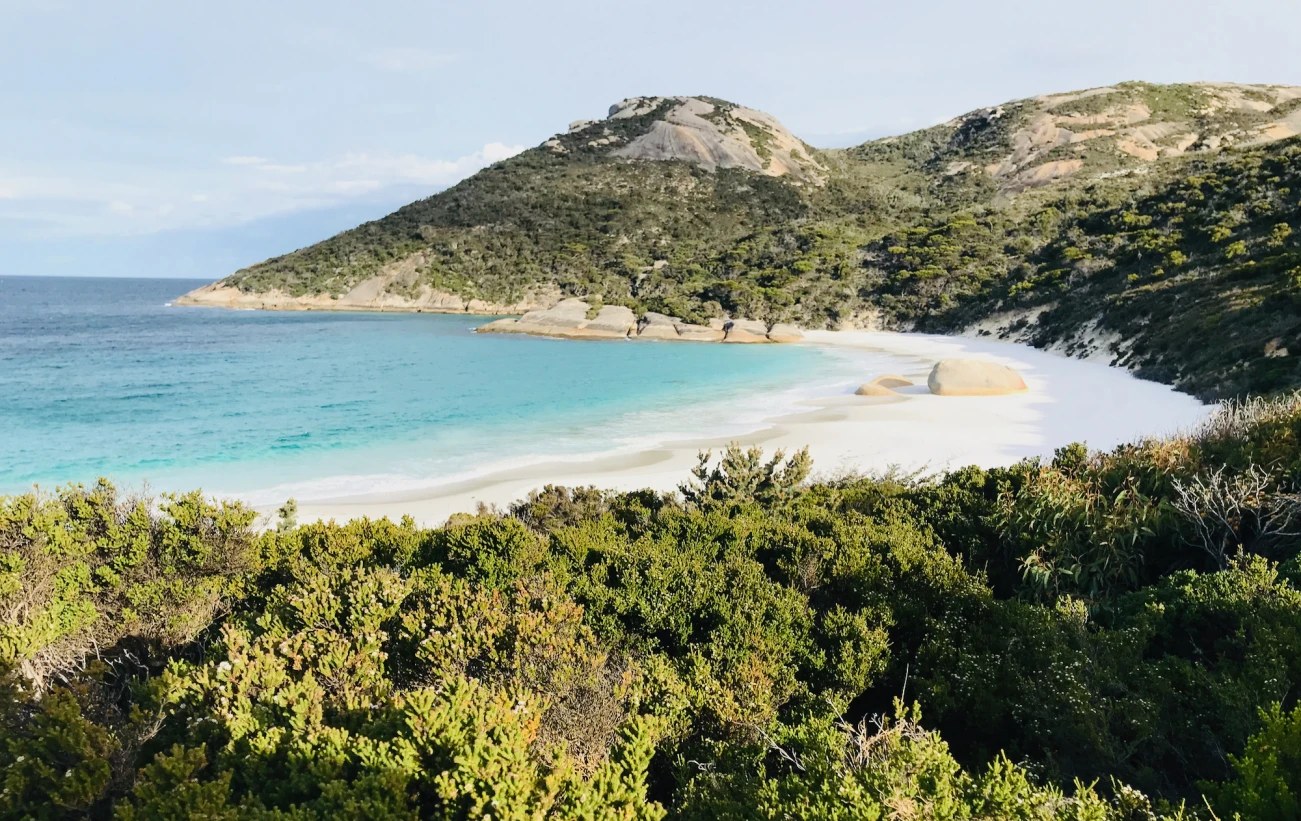 Private Cultural Journey with Anangu Rangers: Bight Dreaming Tracks