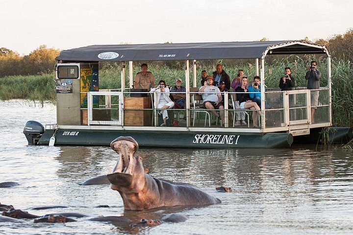 iSimangaliso St Lucia Estuary: Private Hippo & Croc Boat Safari