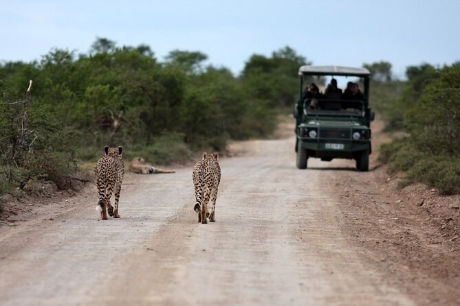 Manyoni Private Game Reserve: Luxury Big Five Safari