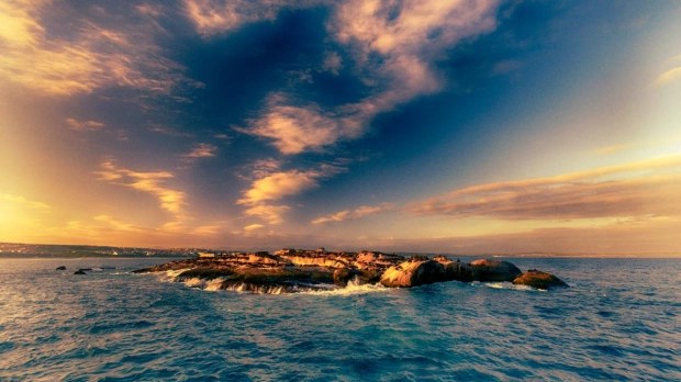 Richards Bay Estuary: Sunset Harbour Cruise with Dolphins