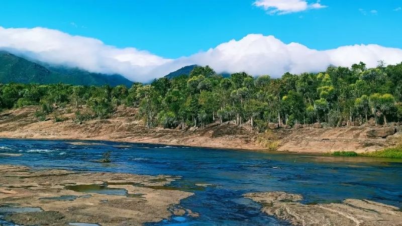 Andohahela National Park: Private Full-Day Rainforest Expedition