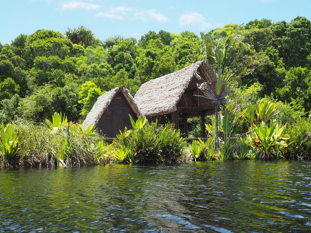 Sainte Luce Coastal Reserve: Guided Rainforest & Snorkel Safari