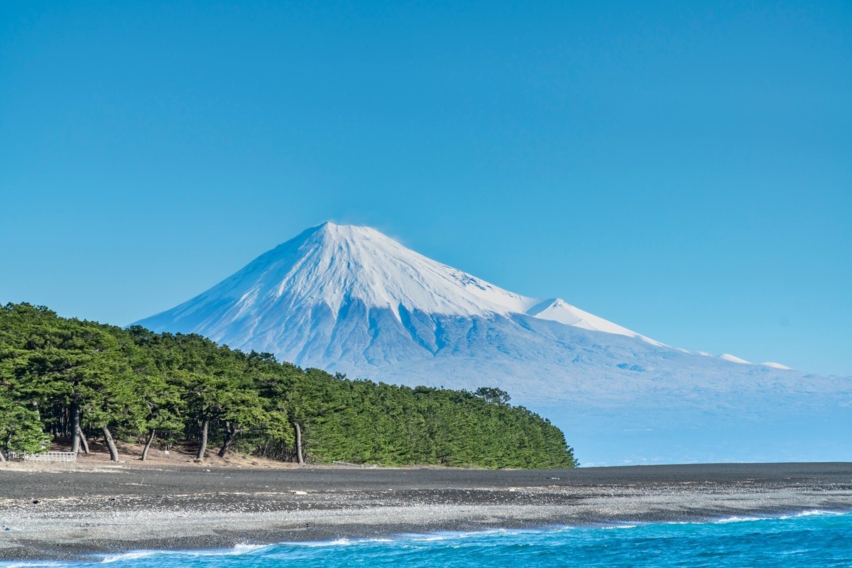 Miho no Matsubara Water Bus & Pine Grove Dawn Walk
