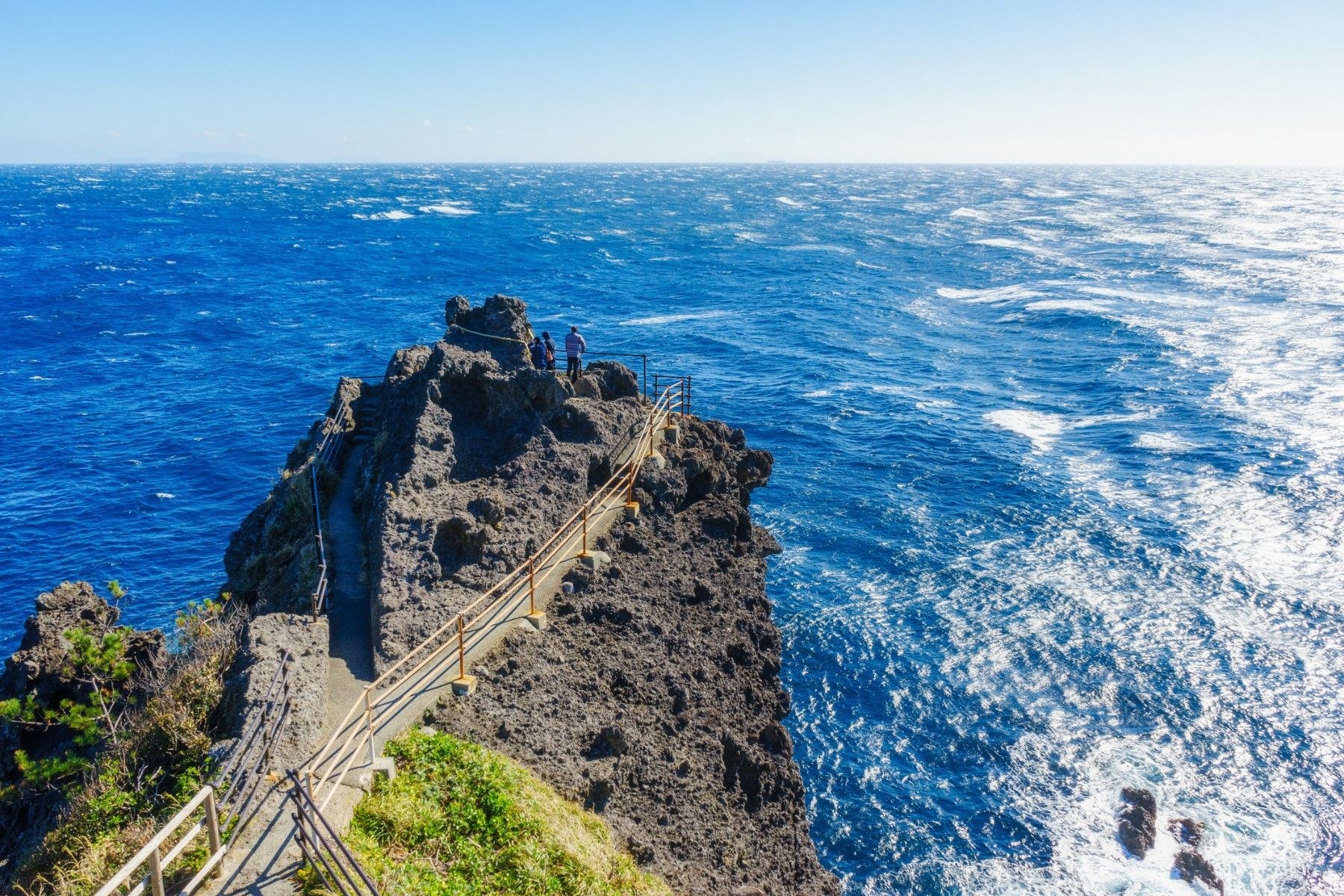 Izu Peninsula Private Coastal Drive: Caves, Capes & Onsen
