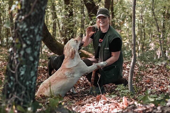 Truffle Hunt & Farm-to-Table Lunch in Istria, Croatia
