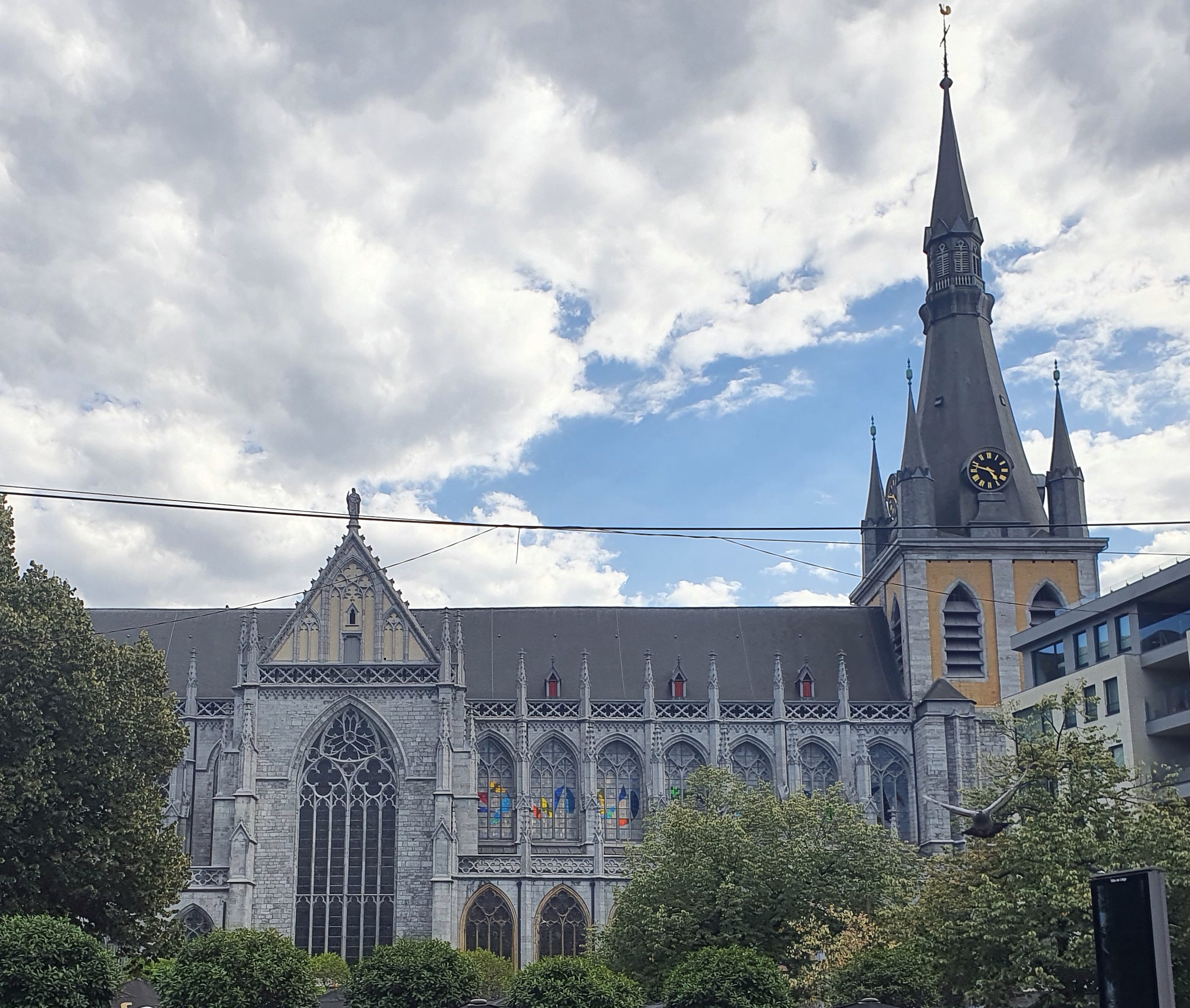 Liège Cathedral of Saint-Paul: Treasury & Gothic Masterpiece Tour