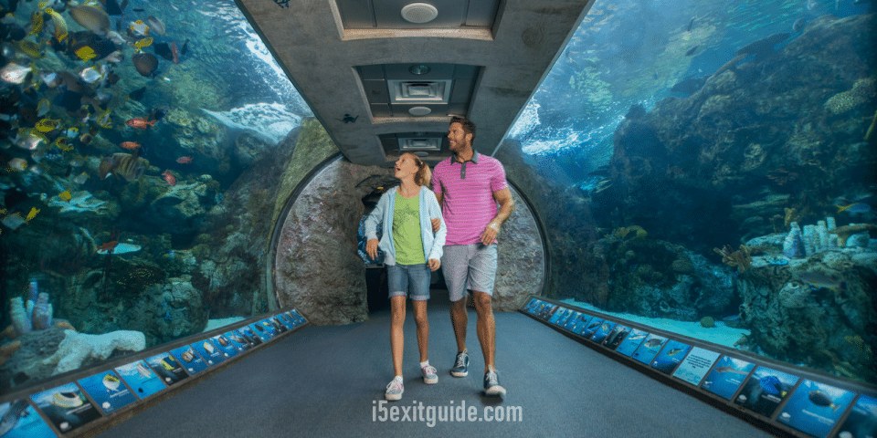 Aquarium of the Pacific: Ocean Conservation Encounter