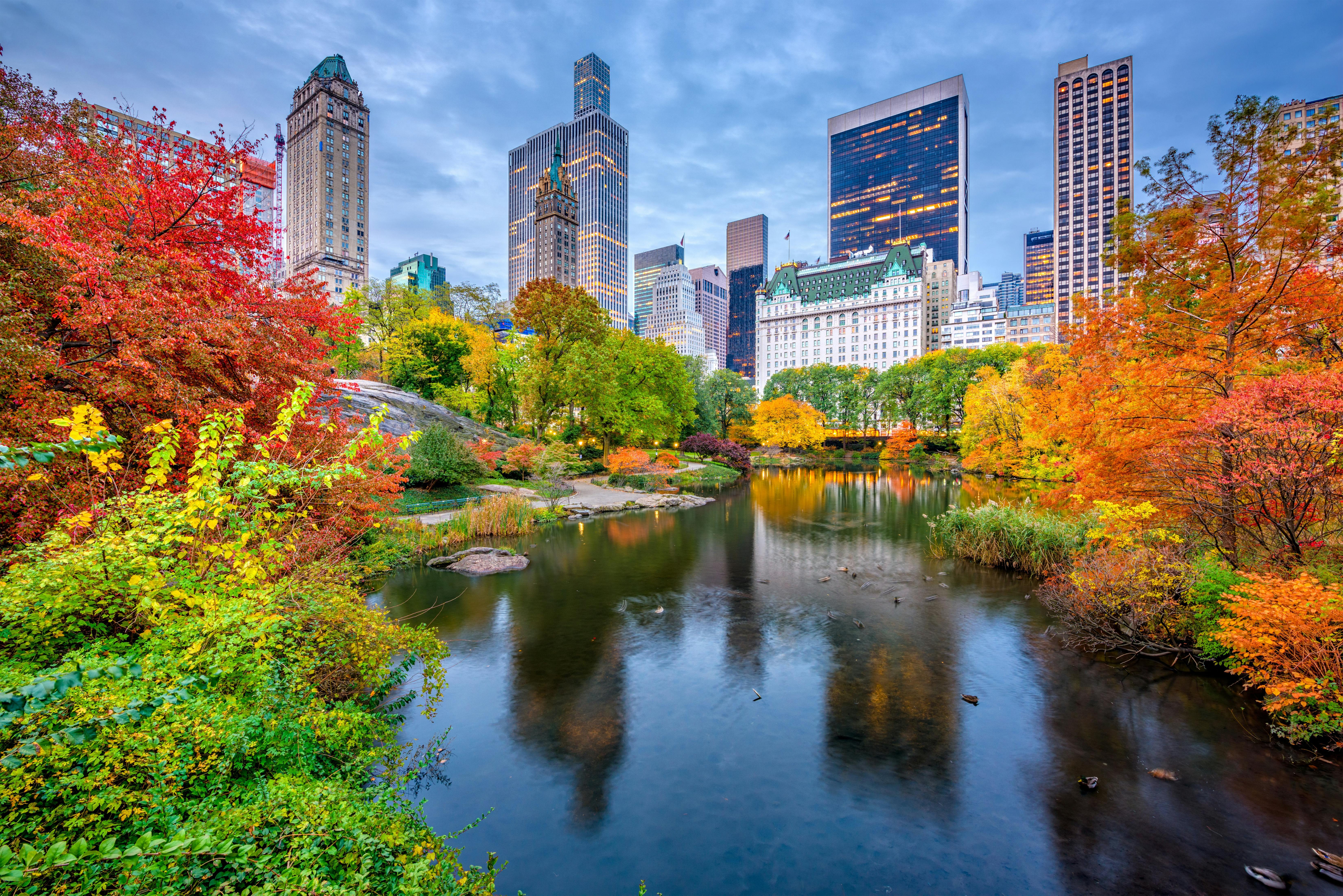 Central Park & the Met: A Guided Private Walking Masterclass