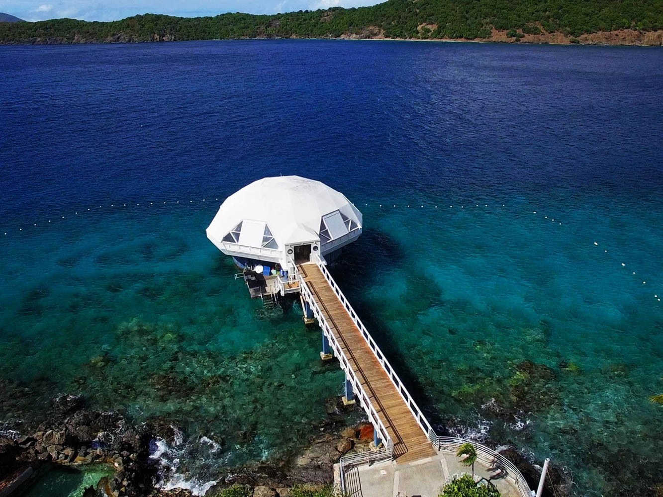 Coral World Ocean Park: Private Behind-the-Scenes Marine Experience
