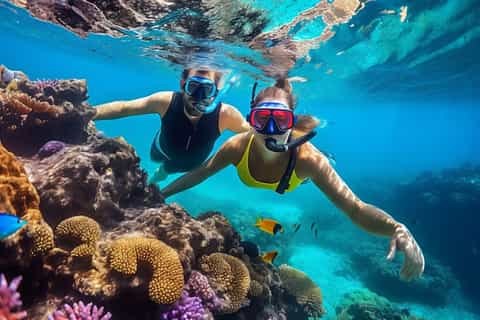 Snorkelling the Seven Brothers Islands: Red Sea Gems