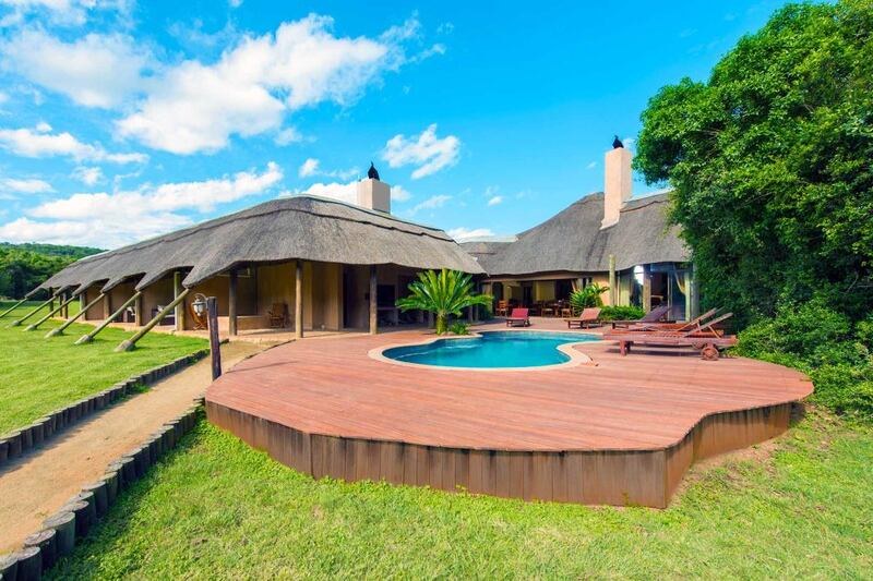 Mpongo Private Game Reserve: Bush & Big Cat Morning Drive