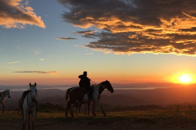 Horseback Ride Through Endemic Cloud Forest to the Coast