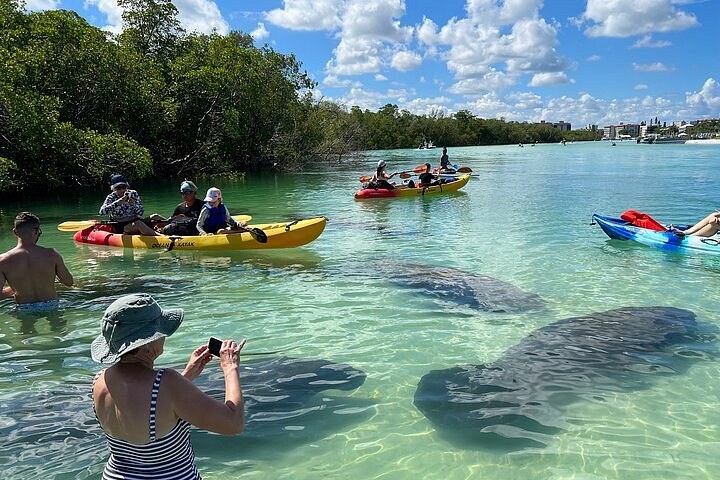 Siesta Key Beach: Private Kayak & Dolphin Eco-Tour