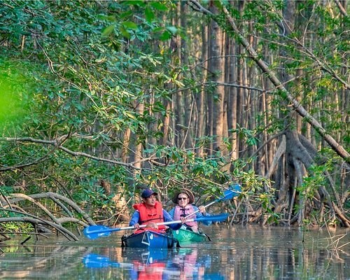 Mangrove Kayak & Golfo Dulce Snorkel: Small-Group Expedition