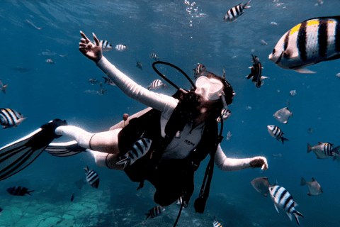 Wuzhizhou Islet: Private Full-Day Snorkel & Dive Escape