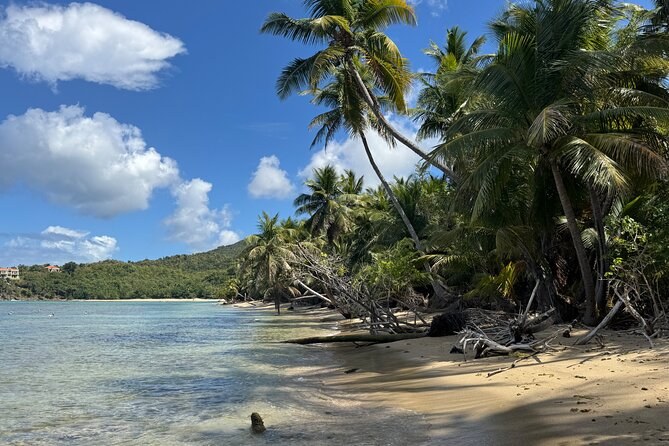 Private 4x4 Island Expedition: Hidden Beaches & Rum Estate
