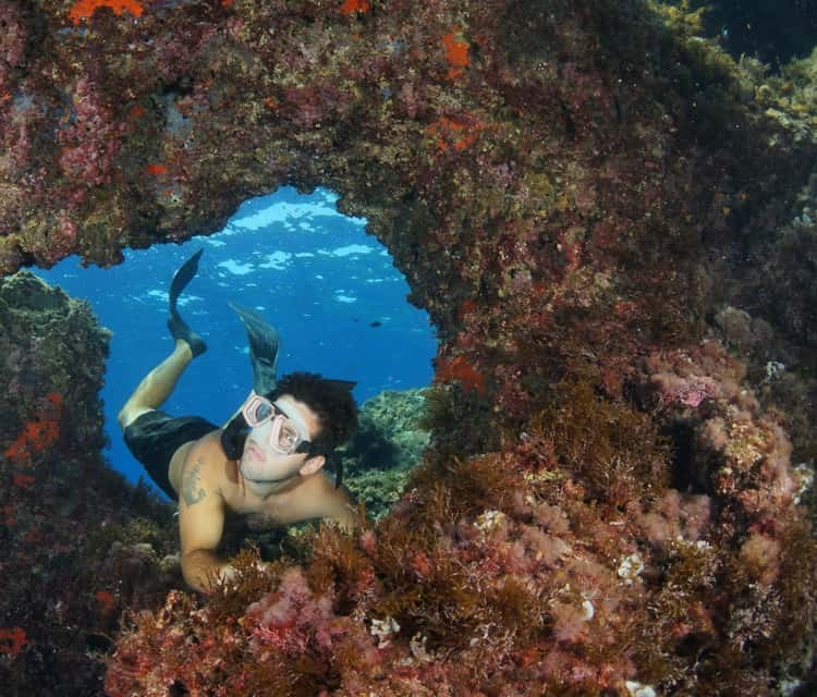 Giannutri Island: Private Snorkelling & Roman Villa Boat Day