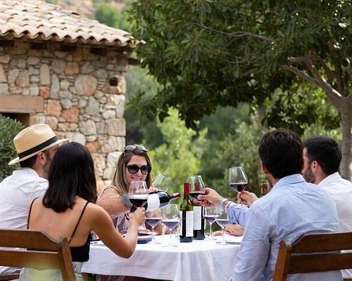 Novelda Modernista & Vinalopó Wine Estate: Private Tasting Journey