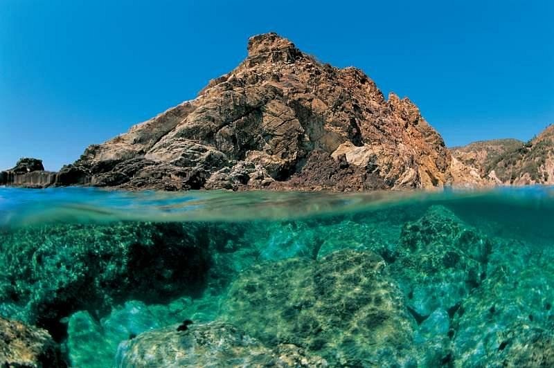 Argentario Diving: Private Guided Dive on Pristine Reefs