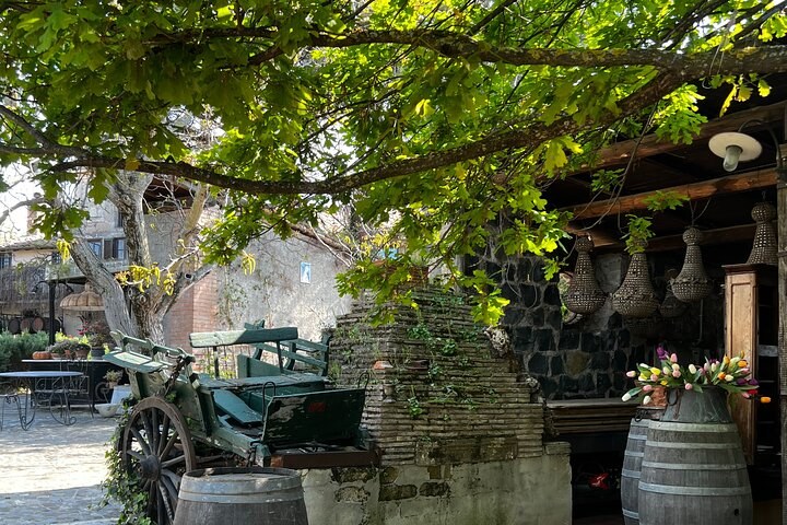 Private Vineyard Harvest & Cellar Lunch in the Castelli Romani