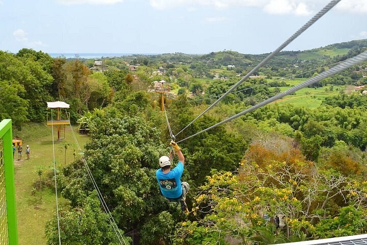 Exclusive Rainforest Zip-Line & Canopy Adventure