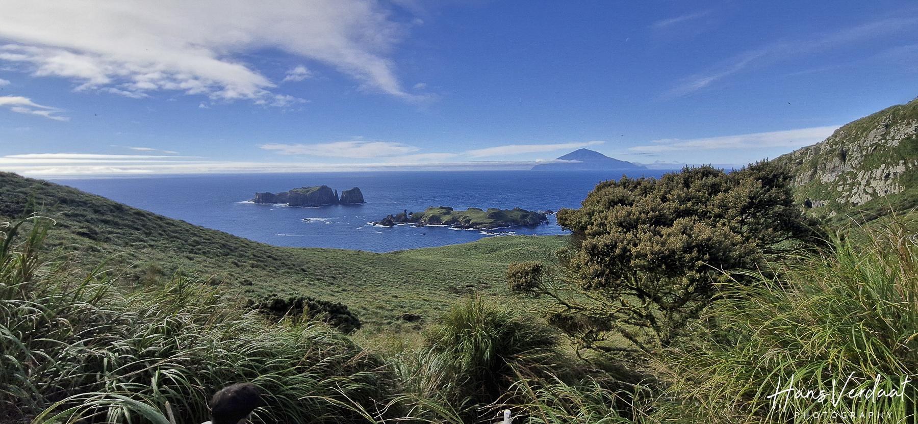 Southern Atlantic Nature Photography Masterclass Ashore