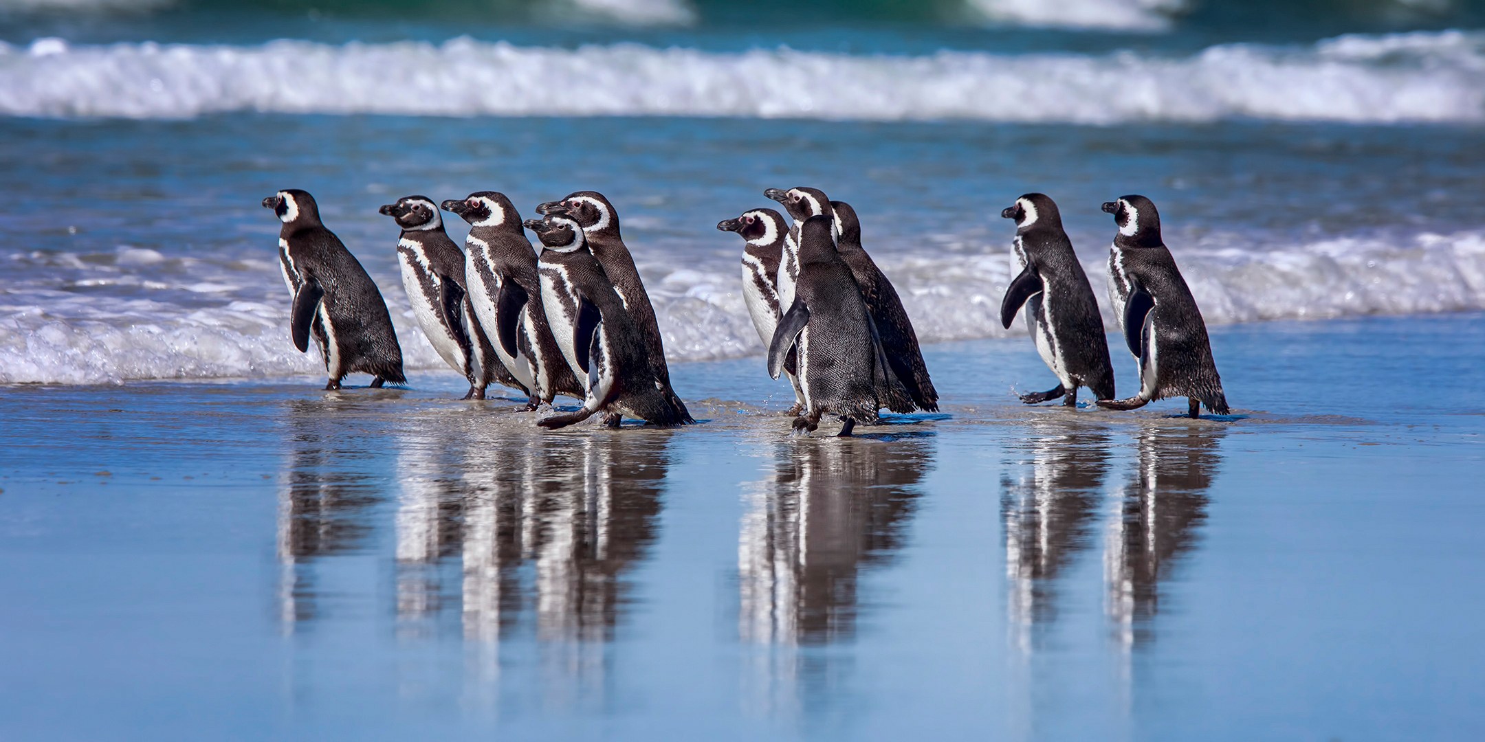 South Atlantic Photography Masterclass: Cliffs, Penguins & Storm Light