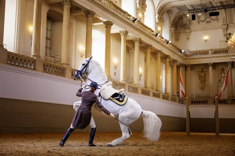 Hofburg Palace & Spanish Riding School: Lipizzaner Morning