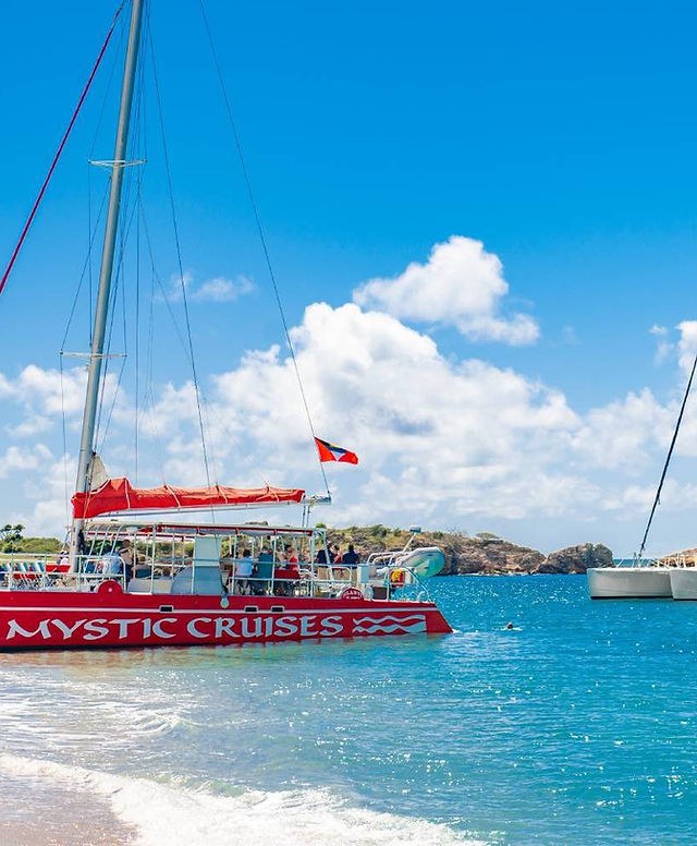 Catamaran Snorkel Cruise to Cades Reef: Luxury Small-Group Sail