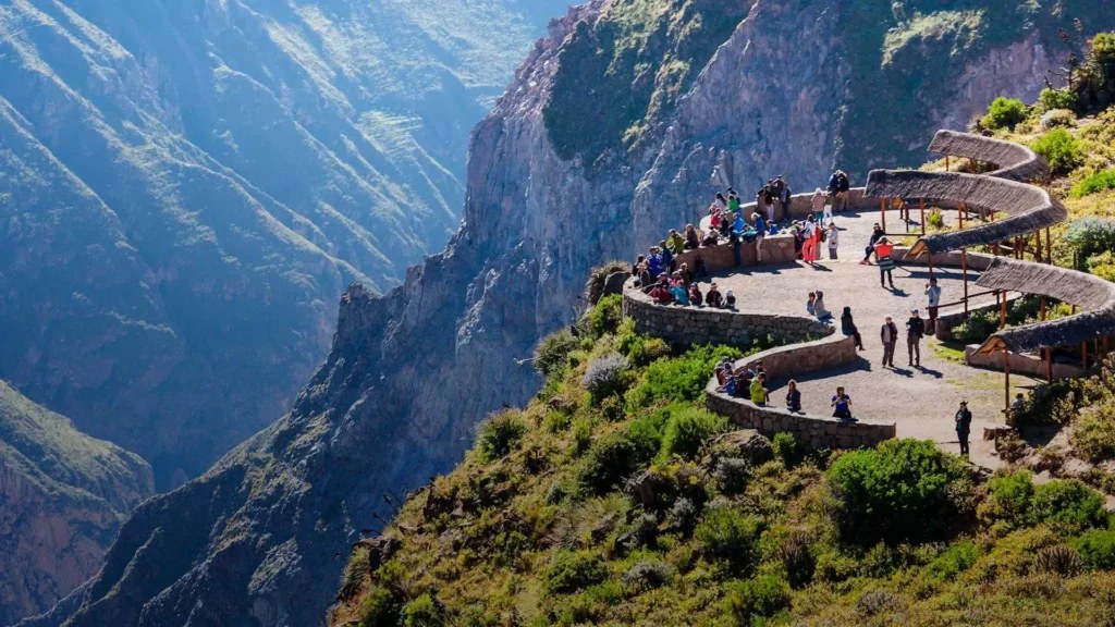 Colca Canyon Condor Watch: Private Sunrise Trekking Experience