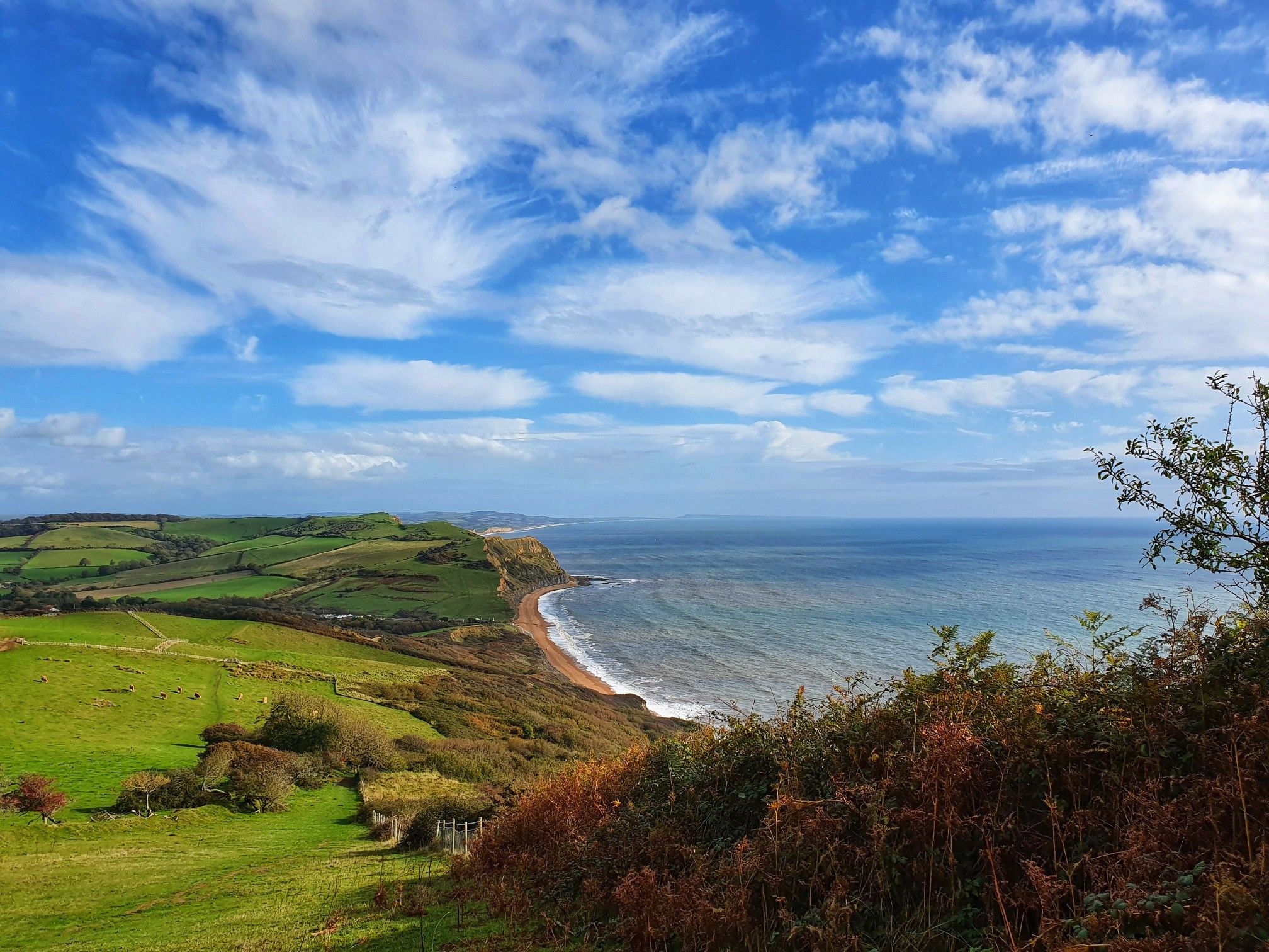 Golden Cap Summit & Coastal Path: Private Guided Hike