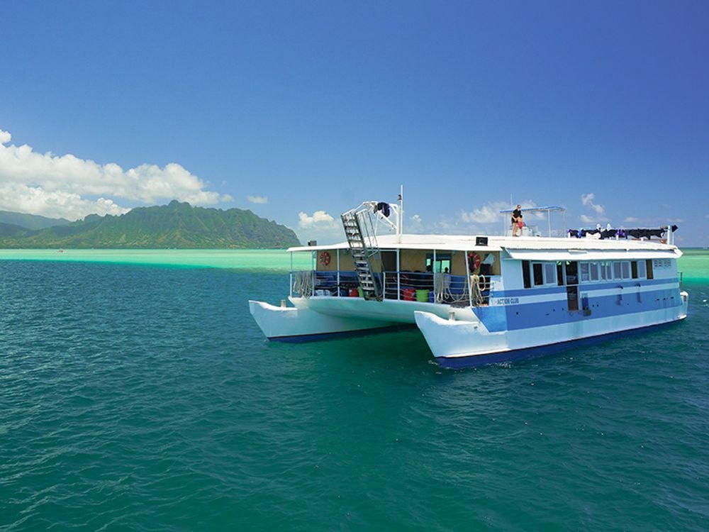 Private Speedboat to Biscayne Bay Sandbar & Coral Reef Snorkel