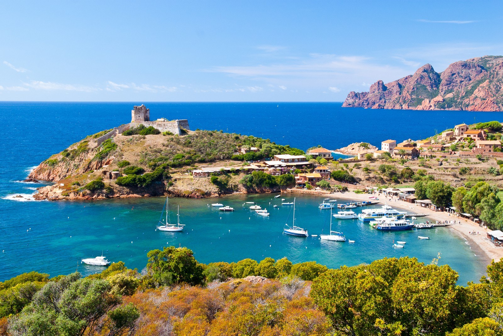Scandola Nature Reserve & Calanques de Piana by Private Boat