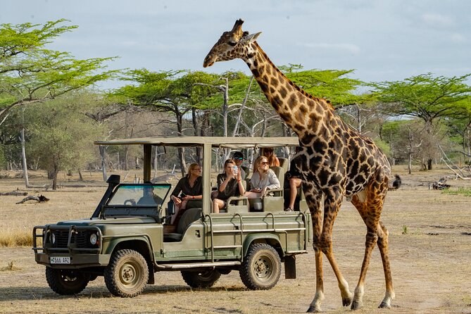Exclusive Wildlife Encounter: Private Nature Reserve Safari