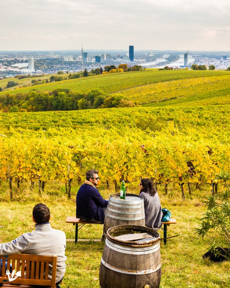 Vienna Woods & Heuriger Wine Tavern: Private Guided Half-Day