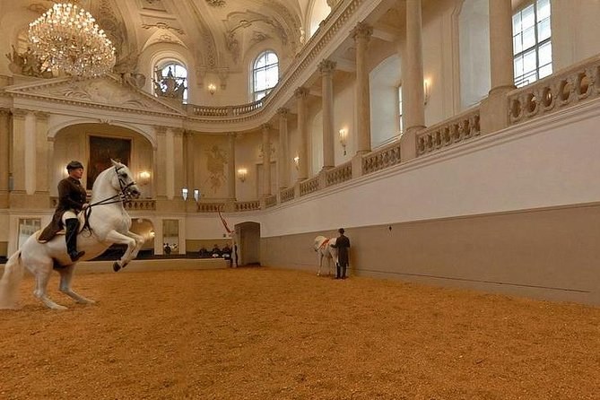 Spanish Riding School: Morning Training Session in the Imperial Riding Hall