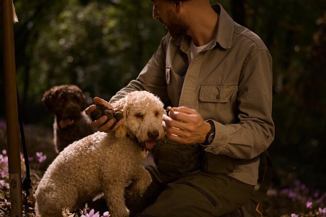 Truffle Hunt & Farm-to-Table Feast in the Roman Countryside