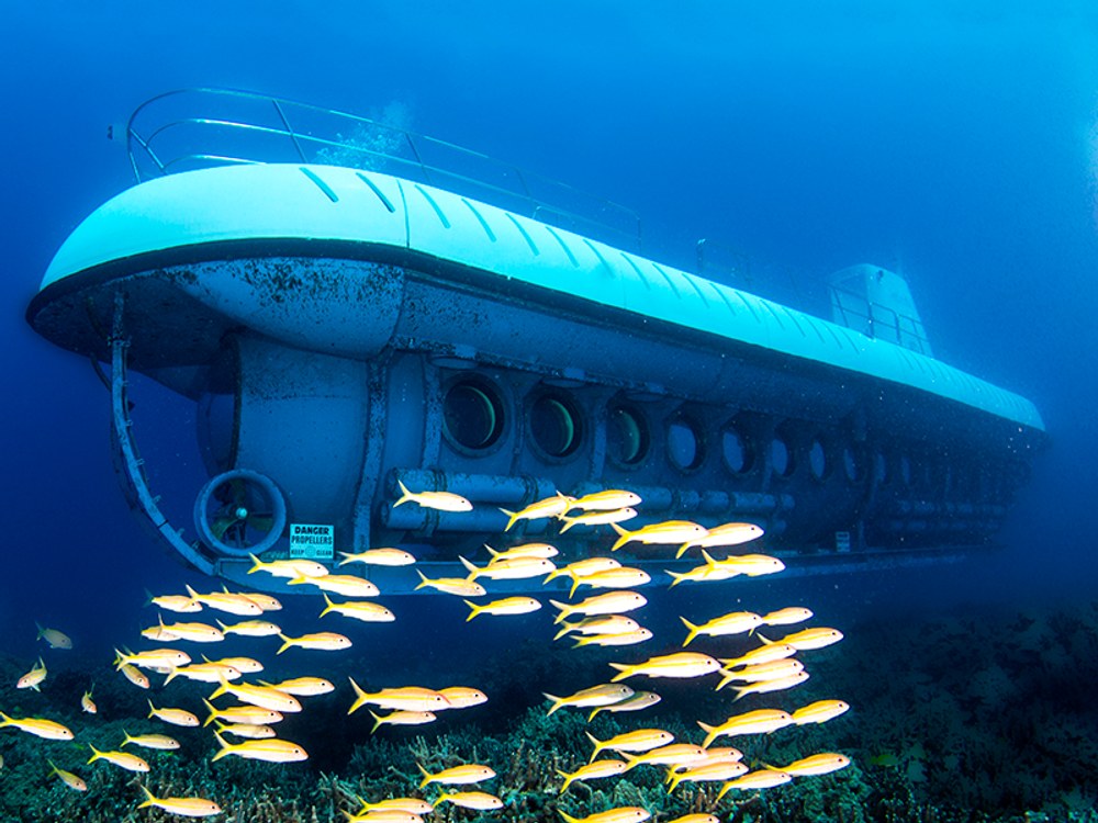 Private Submarine Dive: Reef & Wreck Exploration off Waikiki