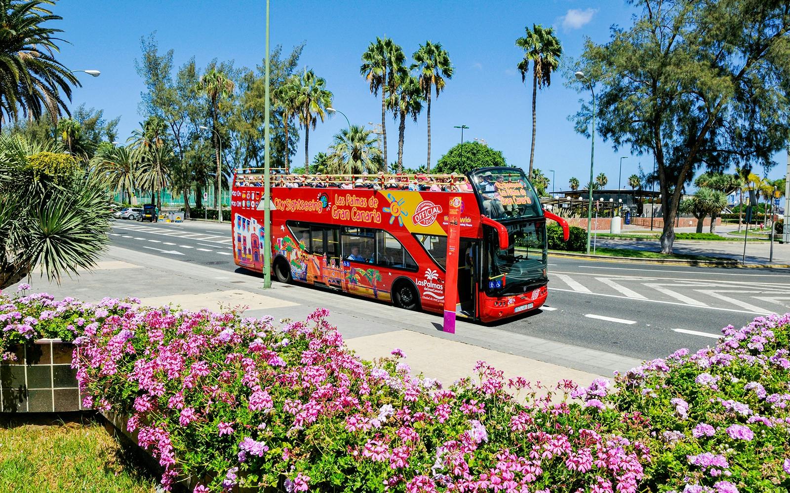 City Sightseeing Las Palmas: Hop-On Hop-Off Open-Top Premium