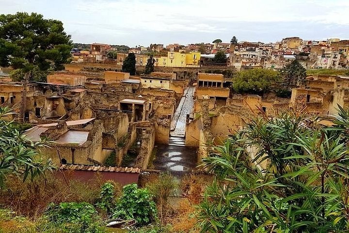 Herculaneum: Private Archaeological Deep-Dive