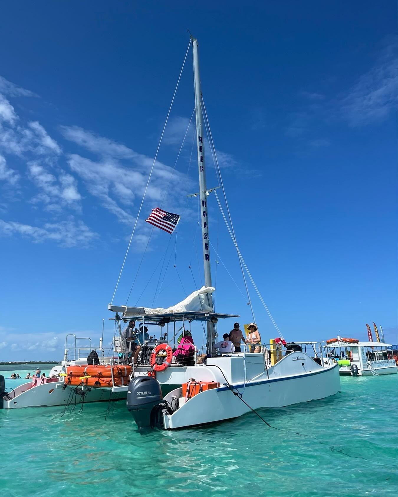 Catamaran Snorkel Sail: Reef Turtles, Coral Gardens & Open Bar