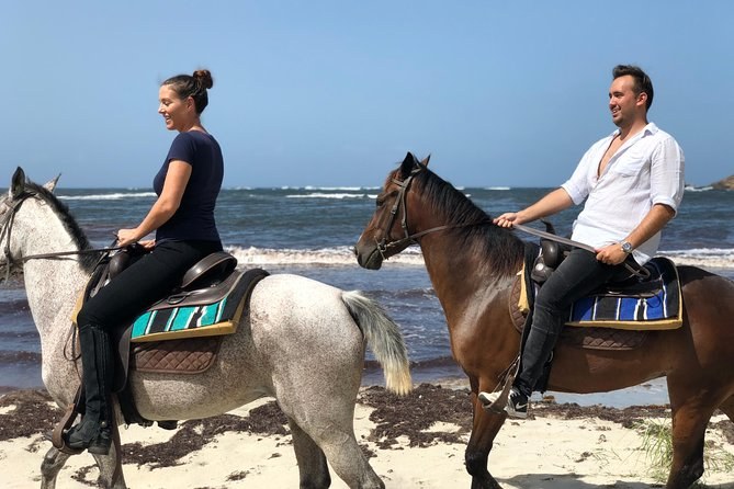 Private Horseback Beach Ride with Sandy Hoofs St. Lucia