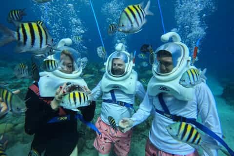Curacao Sea Aquarium: Private Underwater Walking Helmet Dive