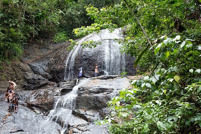 Rainforest Hike & Waterfall Safari in the Tet Paul Nature Trail