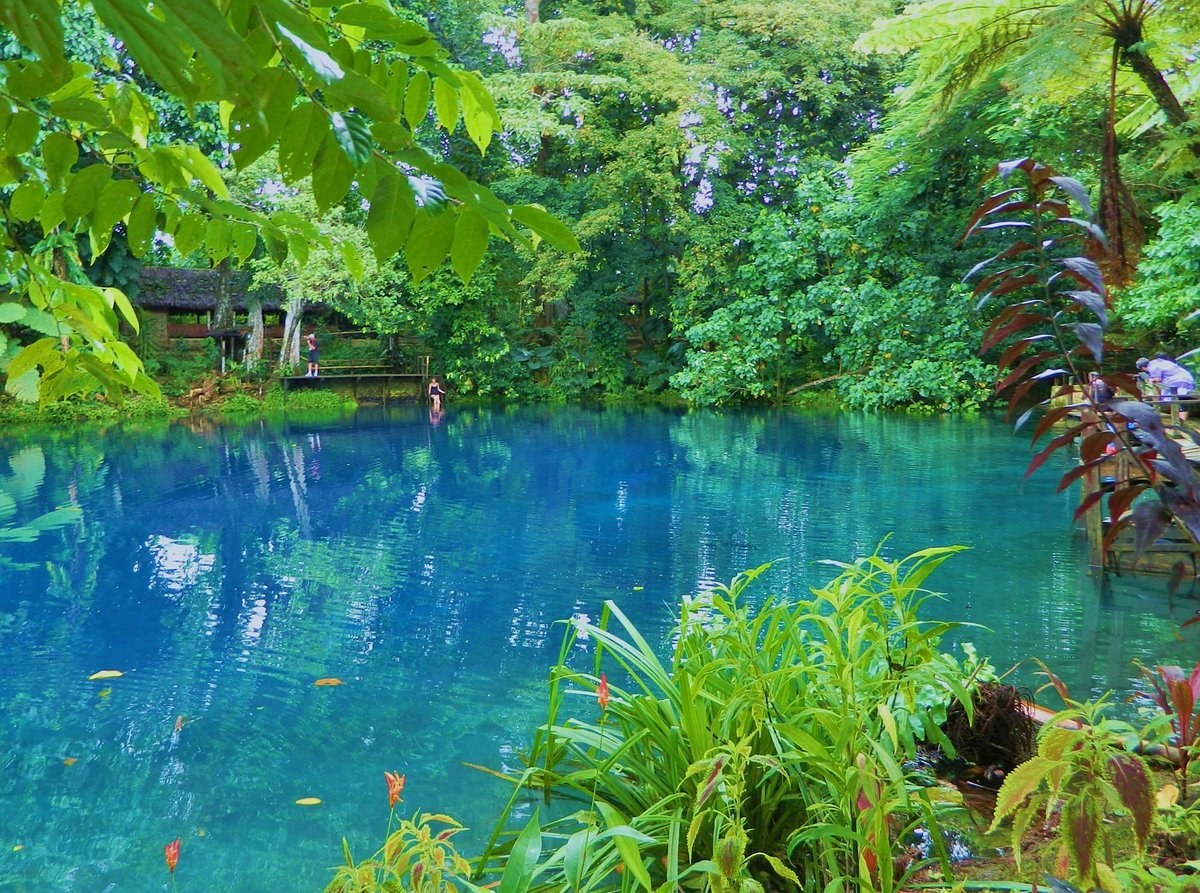 Nanda & Matevulu Blue Holes: Private Jungle Swimming Experience