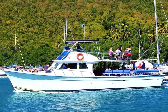 Whale & Dolphin Watching Cruise off the St. Lucia Coast