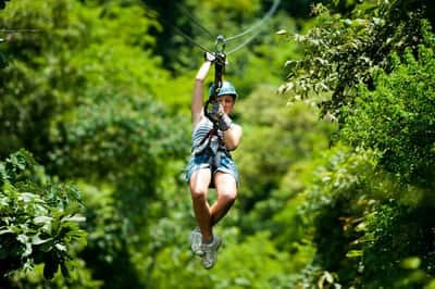Soberanía National Park Rainforest Birding with Expert Naturalist
